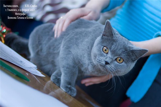 12 февраля 2012 на выставке.jpg