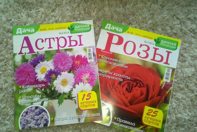 rps20151117_152251.jpg