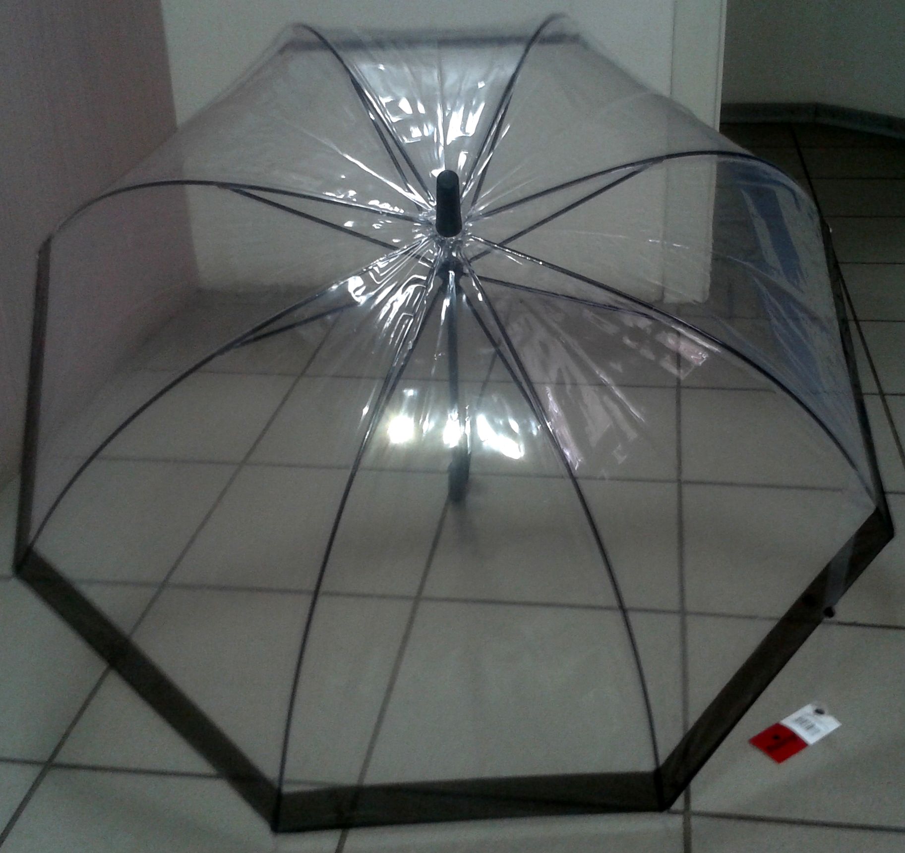 зонт 005.jpg
