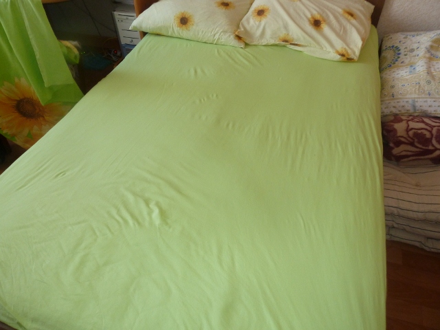 P1060328 (640x480).jpg