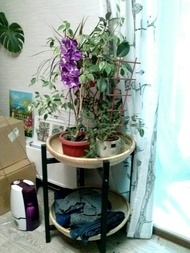 20141014hyl7m5pI6NoXh1Y8_vkBq5_large (1).jpeg